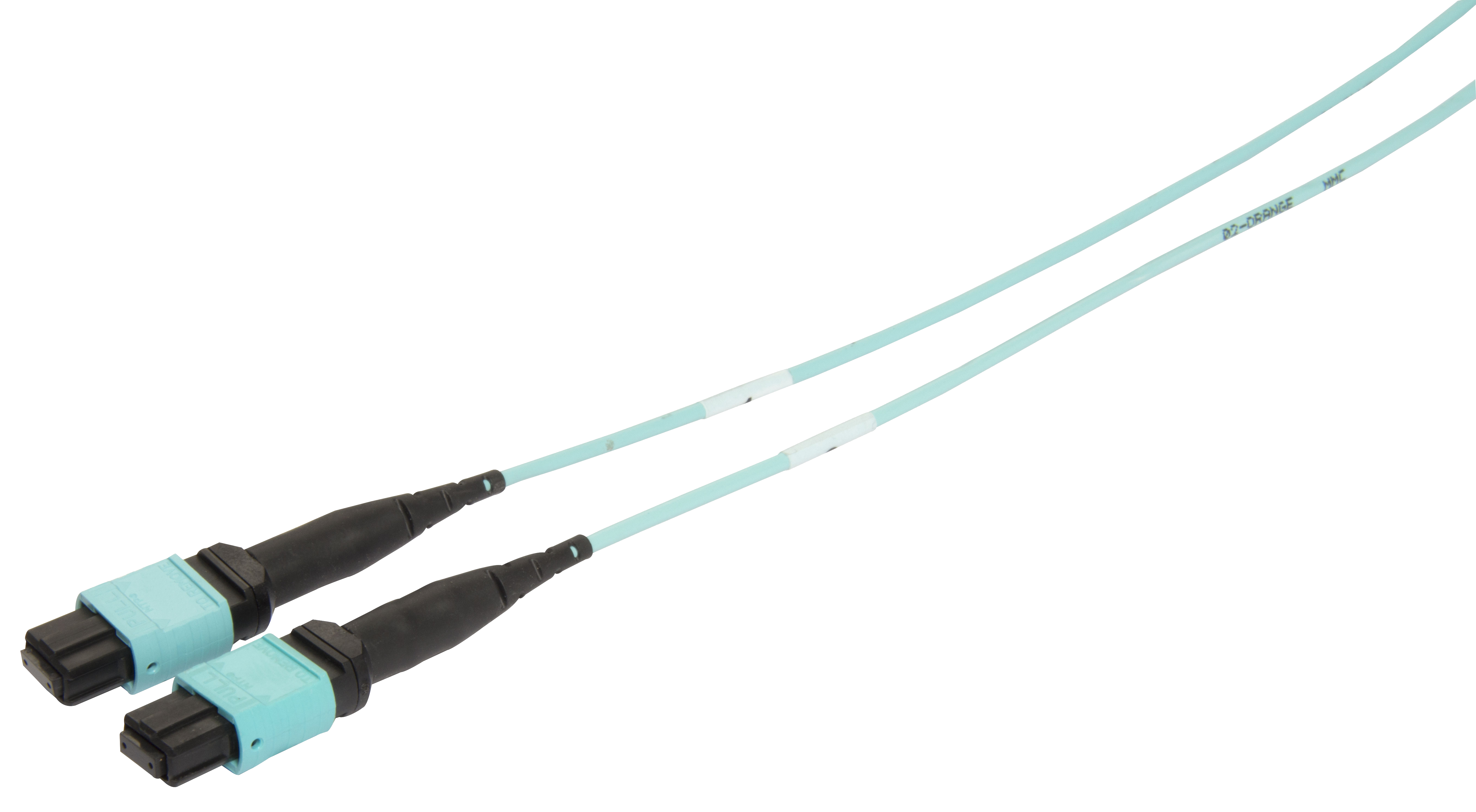 24-Fiber-2-MTPs-1169
