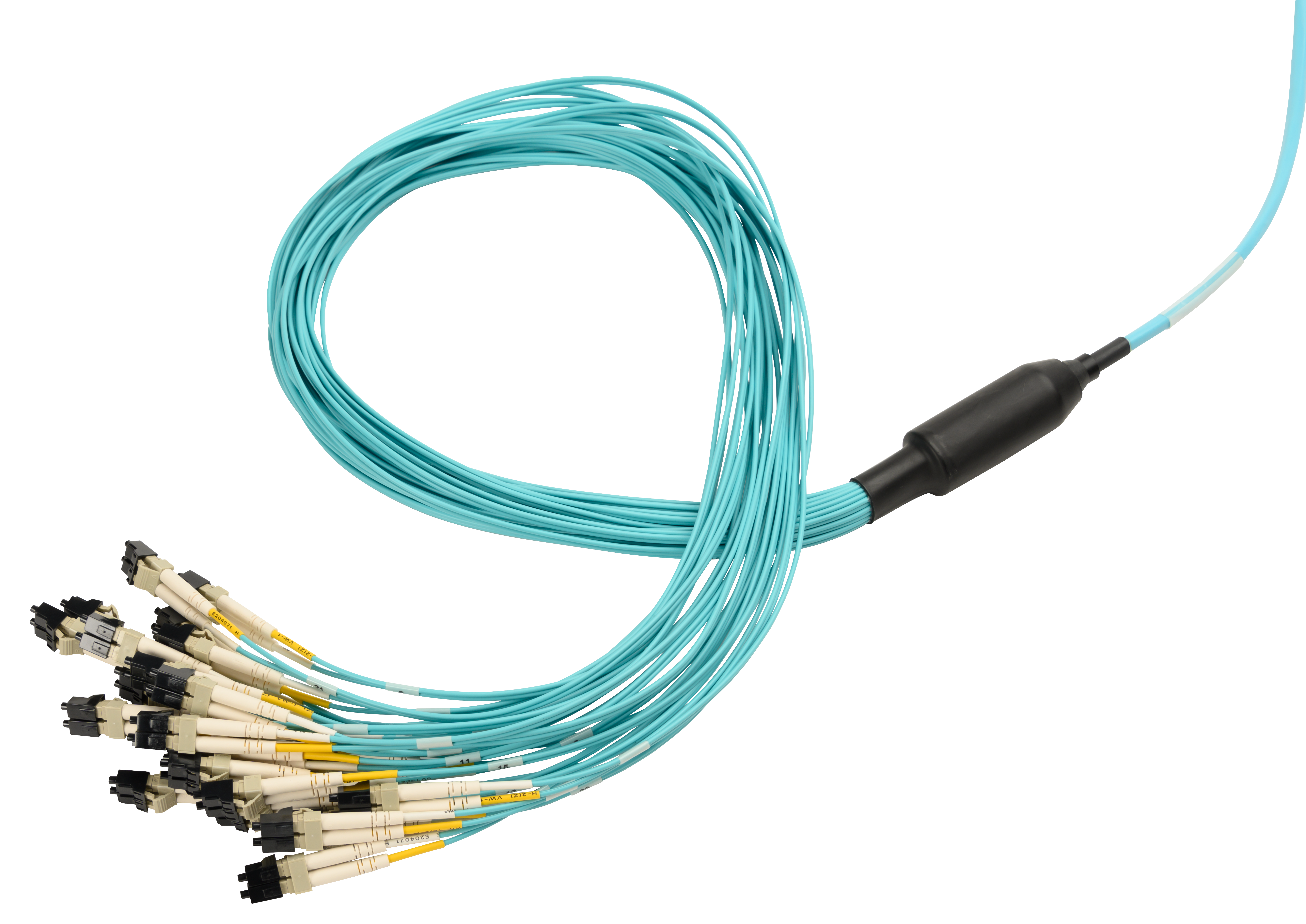 48-fiber-LC-MM-with-furcation-and-bulk01