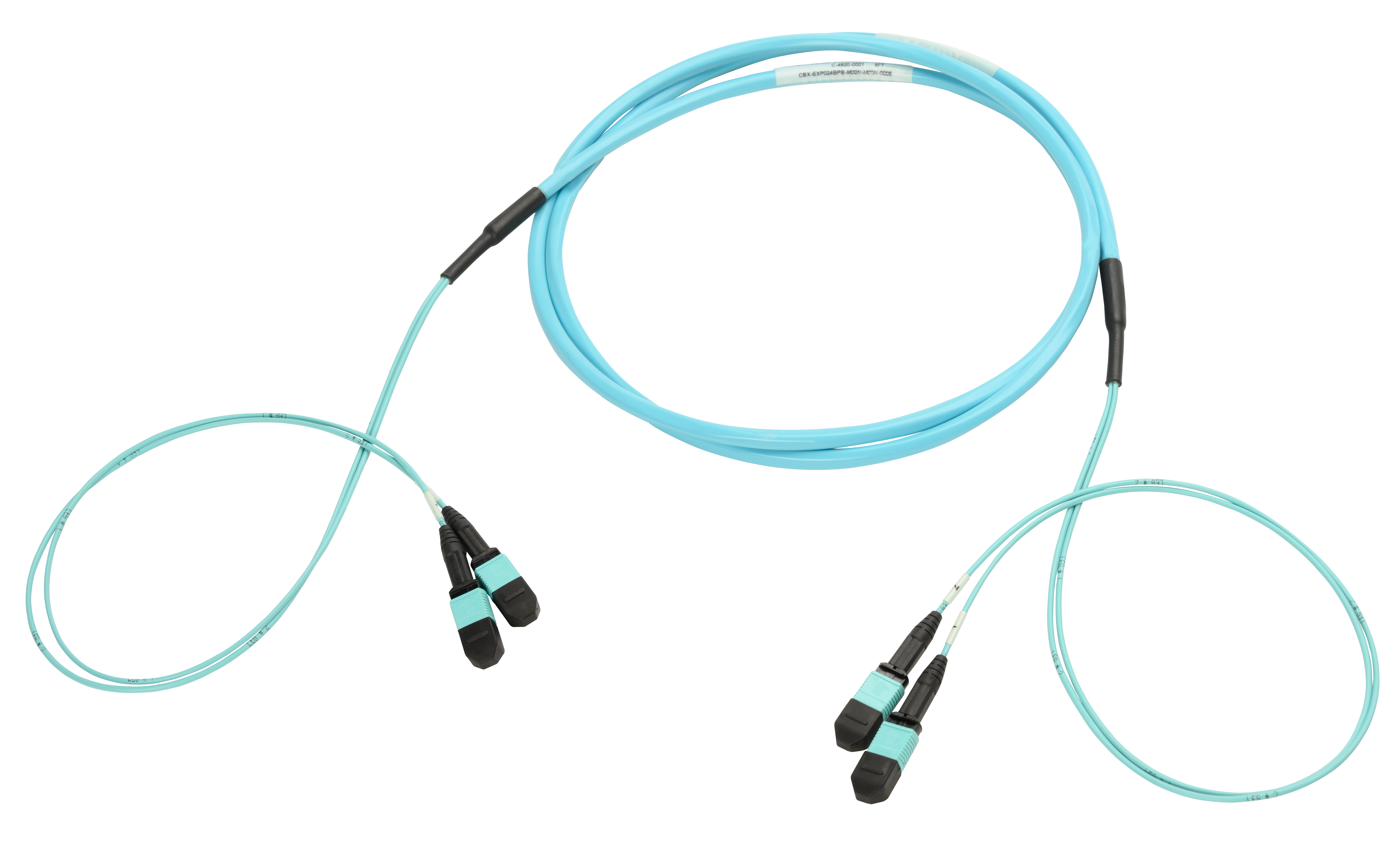 MM 24 fiber trunk01
